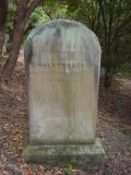 image of grave number 814679